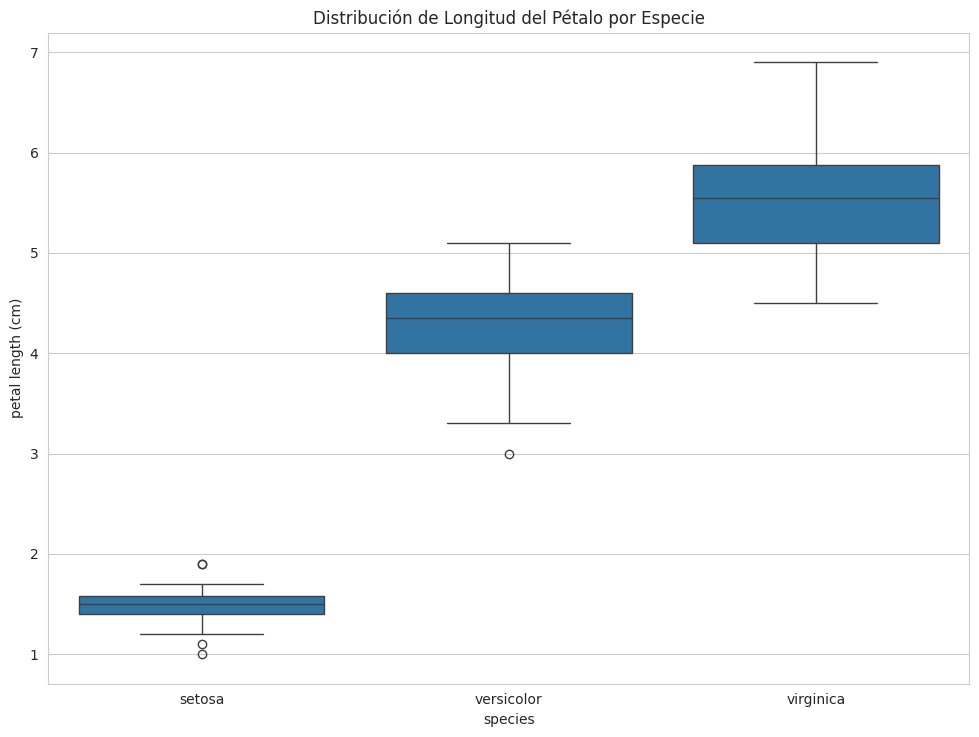 Output de Gráfica Python